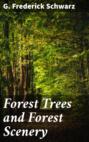 Forest Trees and Forest Scenery