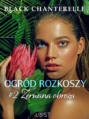 Ogród rozkoszy 2: Zerwana obroża - opowiadanie erotyczne