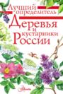 Деревья и кустарники России. Определитель