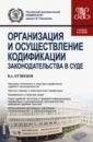 Организация и осуществление кодификации законодательства в суде. Учебное пособие