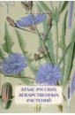 Атлас русских лекарственных растений. В. К. Варлих