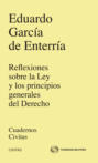 Reflexiones sobre la Ley y los principios generales del Derecho
