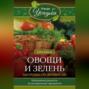 Овощи и зелень. Заготовки по-деревенски