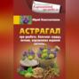 Астрагал. При диабете, болезнях сердца, печени, нарушениях нервной системы…