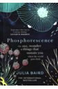 Phosphorescence. On Awe, Wonder & Things That Sustain You When the World Goes Dark