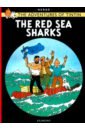 The Red Sea Sharks