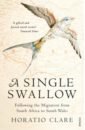 A Single Swallow. Following An Epic Journey From South Africa To South Wales