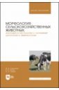 Морфология сельскохозяйственных животных. Анатомия и гистология с основами цитологии и эмбриологии