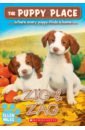 Zig & Zag
