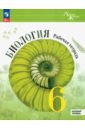 Биология. 6 класс. Рабочая тетрадь. Базовый уровень