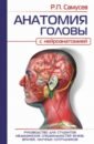 Анатомия головы (с нейроанатомией). Руководство для студентов медицинских специальностей вузов, врач