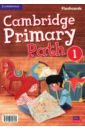 Cambridge Primary Path. Level 1. Flashcards