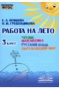 Чтение. Математика. Русский язык. Окружающий мир. 3 класс. Работа на лето