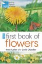 RSPB First Book of Flowers