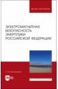 Электромагнитная безопасность энергетики Российской Федерации: Учебное пособие для вузов