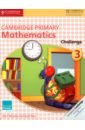 Cambridge Primary Mathematics Challenge 3