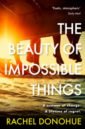 The Beauty of Impossible Things