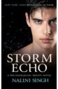 Storm Echo