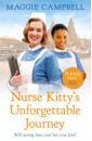 Nurse Kitty's Unforgettable Journey