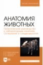 Анатомия животных. Практическое руководство к лабораторным занятиям. Остеология и синдесмология