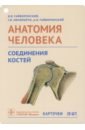 Анатомия человека. Соединения костей. Карточки. Наглядное учебное пособие