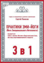 Практики эми-йоги (йоги эмоционального интеллекта). 3 в 1. Базовый курс. Работа с целями, местами и представителями силы. Два вида энергоинформационного лидерства