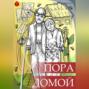 Пора домой