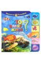 Кто в море живет? Листай странички-учи цифры! Узнавай! Учись! Играй!