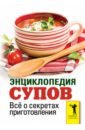 Энциклопедия супов. Все о секретах приготовления