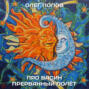Про Васин прерванный полёт