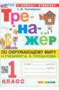 Тренажёр по Окружающему миру. 1 класс. К учебнику А. А. Плешакова