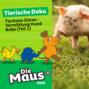 Die Maus, Tierische Doku, Folge 6: Tierheim D&uuml;ren - Vermittlung Hund Boba (Teil 1)