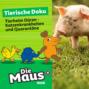 Die Maus, Tierische Doku, Folge 8: Tierheim D&uuml;ren - Katzenkrankheiten und Quarant&auml;ne