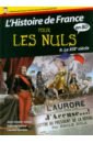 Histoire de France Pour les Nuls BD. Tome 9. Le XIXe siècle