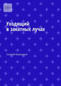 Уходящий в&nbsp;закатных лучах