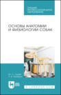Основы анатомии и физиологии собак