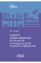Защита общественных интересов в гражданском судопроизводстве. Монография