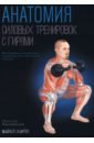 Анатомия силовых тренировок с гирями