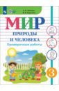 Мир природы и человека. 3 класс. Проверочные работы. Адаптированные программы
