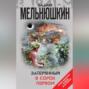 Затерянный в сорок первом (сборник)