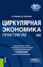 Циркулярная экономика. Практикум. (Бакалавриат, Магистратура). Учебное пособие.