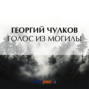 Голос из могилы