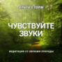 Чувствуйте звуки. Медитация со звуками природы