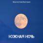 Южная ночь