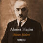 Ahmet Haşim Şiirler