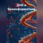 ДНК и биоинформатика