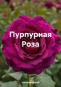 Пурпурная Роза