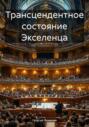Трансцендентное состояние Экселенца