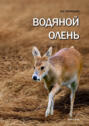 Водяной олень (Hydropotes inermis)