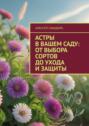 Астры в&nbsp;вашем саду: от&nbsp;выбора сортов до&nbsp;ухода и&nbsp;защиты